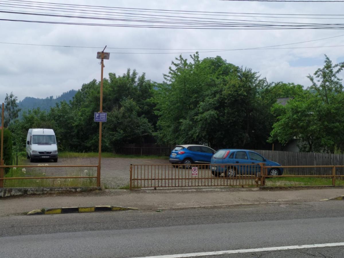 B&B Dumbrava 古拉哈莫卢洛伊 外观 照片